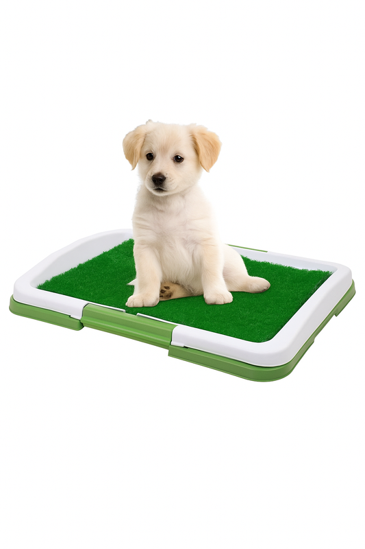 Tapete de Limpieza para Perros Pequeños 🐶🌱 — Entrenamiento fácil e higiénico